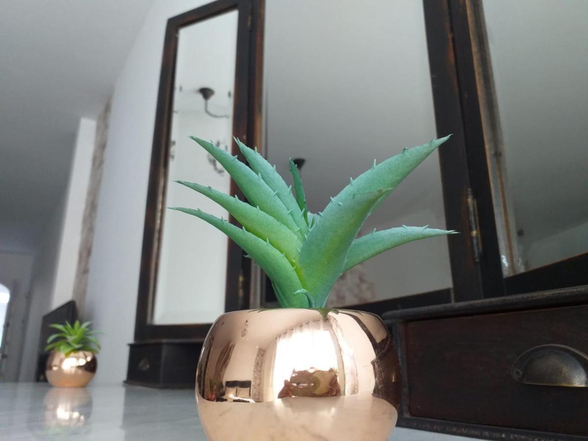 Loft 113 Daire Corralejo Dış mekan fotoğraf