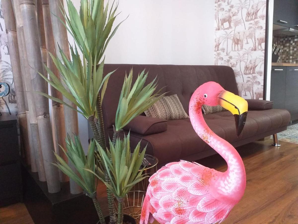 Loft 113 Daire Corralejo Dış mekan fotoğraf